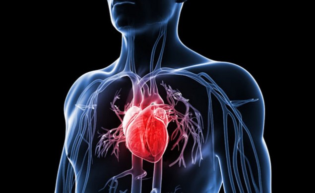 深入了解8 种常被忽视的心脏病症状 Medcom Id