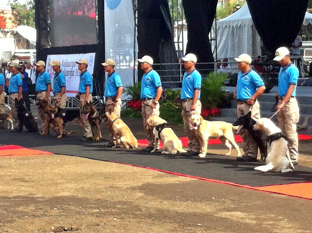 source : BNN twitter