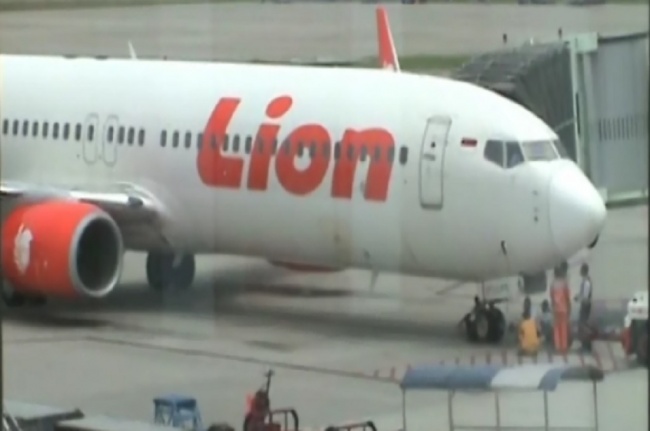 Illustration of Lion Air
