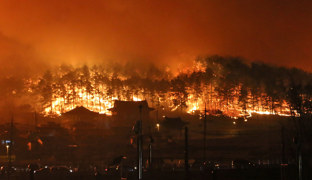 An enormous fire erupted on April 4 in the South Korean border town of Goseong, leaving at least one dead, the Yonhap news agency reported. (Photo by STR / YONHAP / AFP) 
