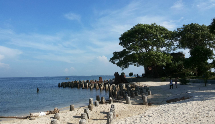 Kelor (Photo : Tripadvisor.co.id/EredGorgoroth1)