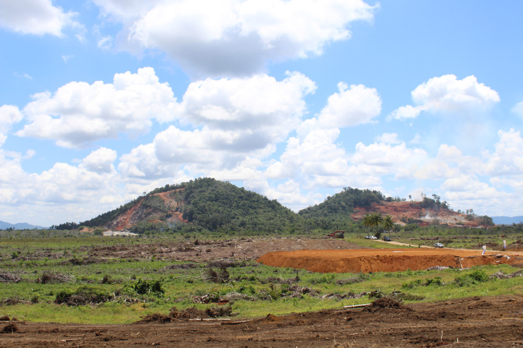 The location planned for the construction of the Smelter Grade Alumina Refinery in Mempawah Regency. (photo : ANTARA)
