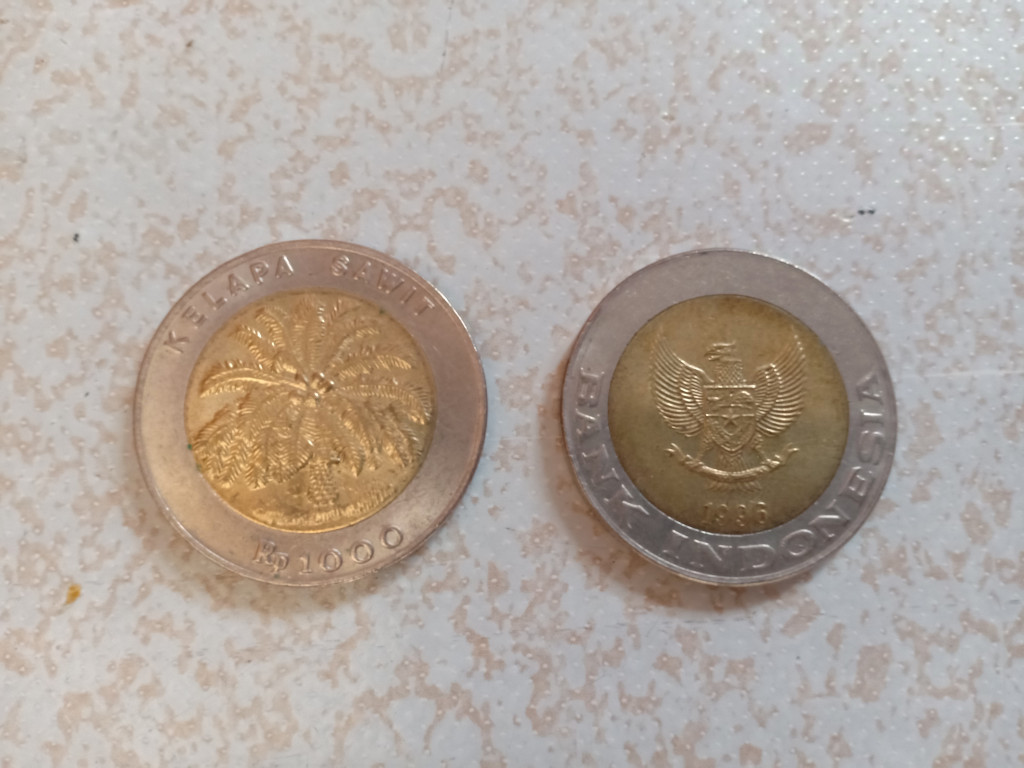 Illustration. (Photo : medcom.id/Harianty)