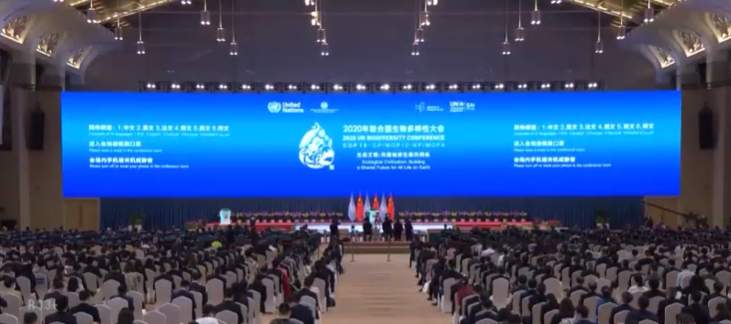 15th meeting of the Conference of the Parties to the United Nations Convention on Biological Diversity (COP15). Photo source : Metro Xinwen