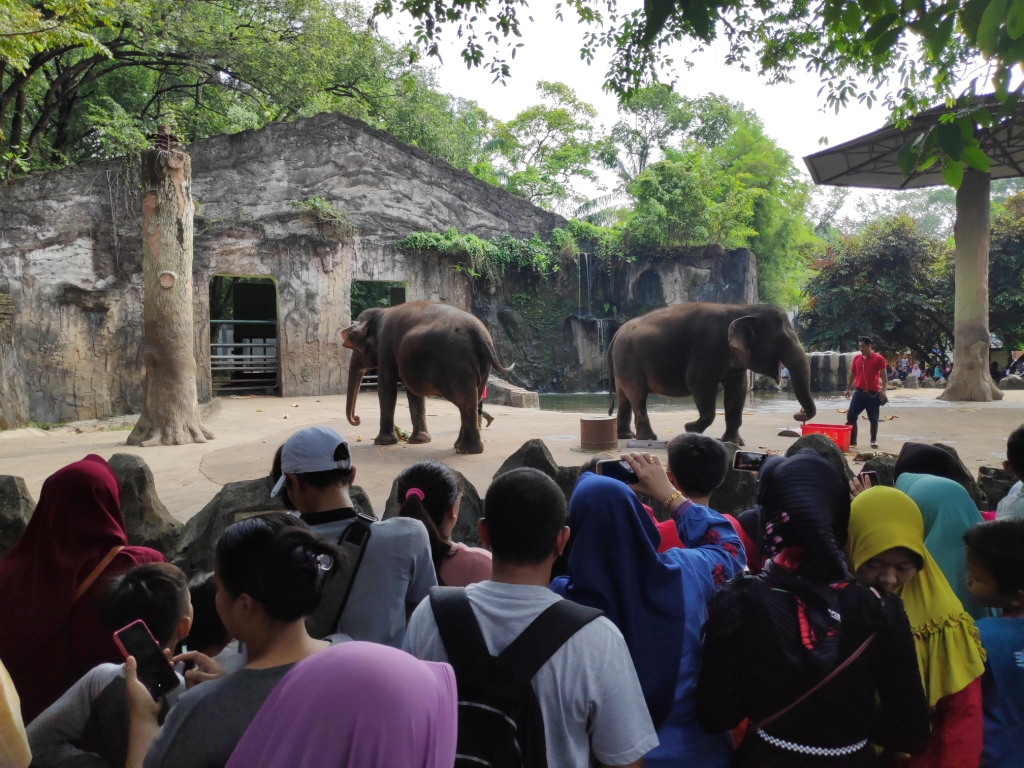 Ragunan Zoo, Jakarta. (photo : Medcom.id)