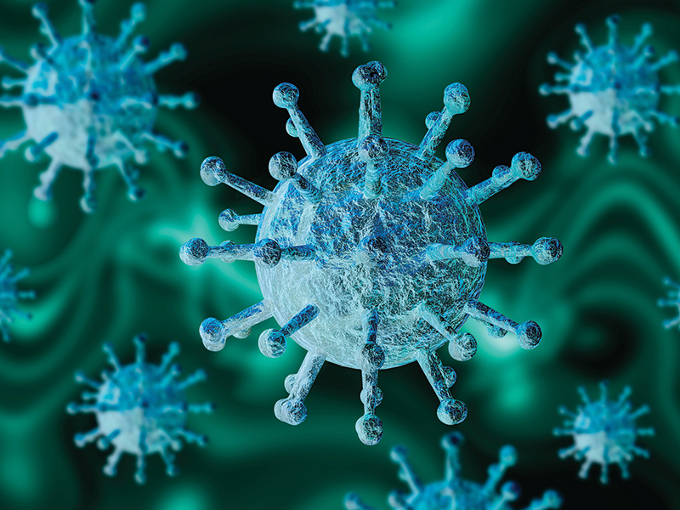 Illustration. (photo : medcom.id)