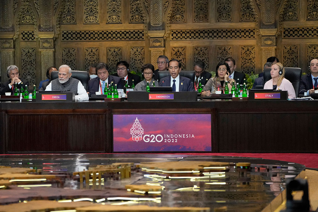 President Joko Widodo in G20 Summit. (photo : AFP)