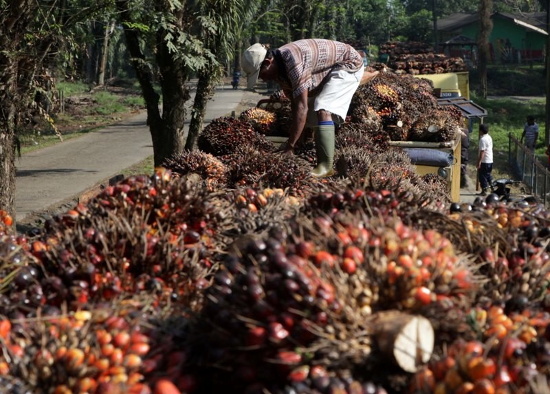 Illustration. (photo : AFP)