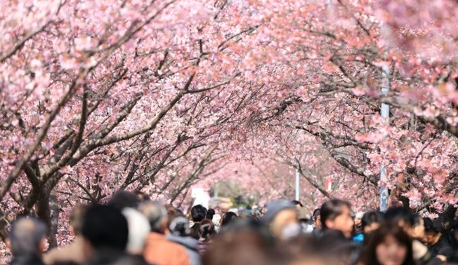 Photo source : sohu.com