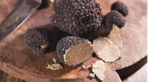 Illustration. (photo : Healthline)