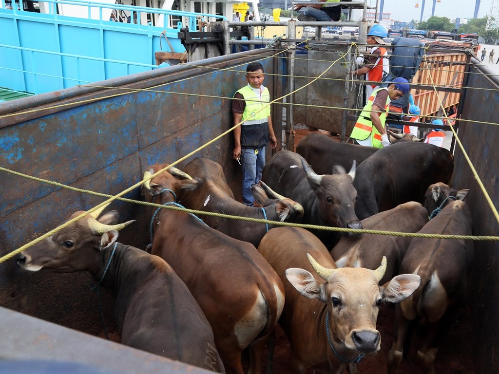 Illustration. (photo : MI)