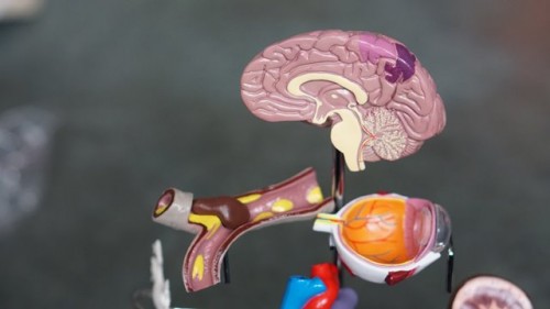 Illustration. (photo : Unsplash)