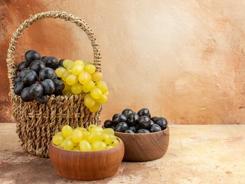 Illustration. (photo : Freepik)