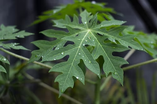 Illustration. (photo : Unsplash)