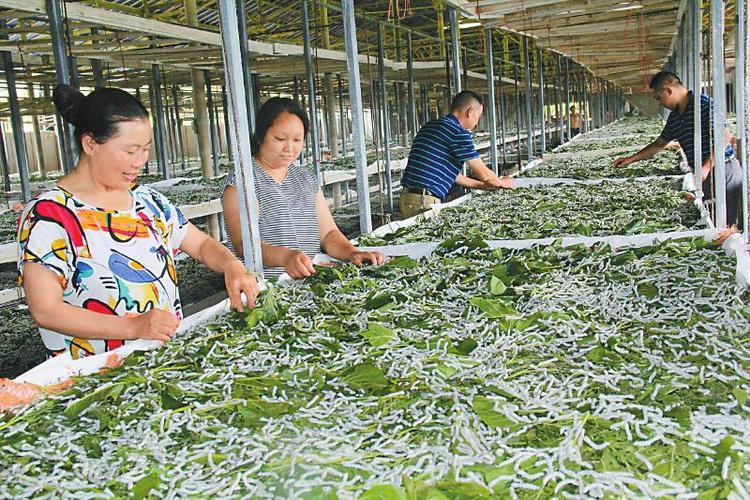 Illustration. (photo : Baidu)