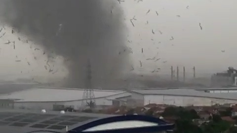Tornado in Rancaekek Bandung. Photo : Istimewa
