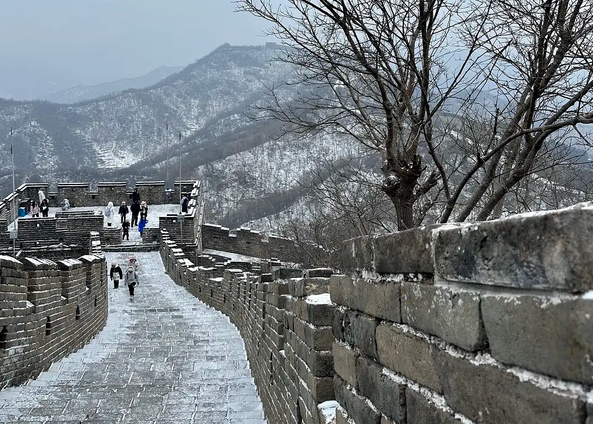 Snow in Beijing,China. Photo source : douban.com