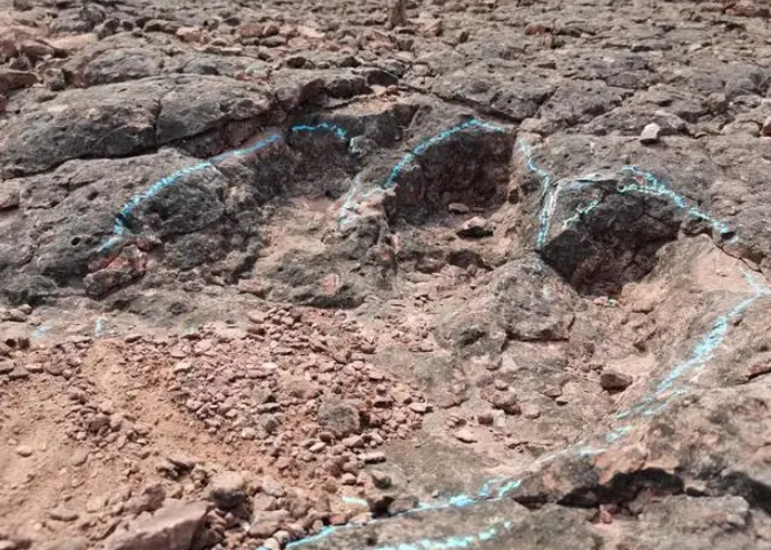 Photo source: baidu baijiahao