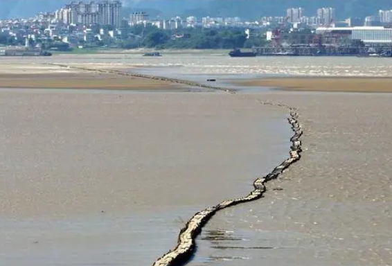 Photo source : cctv.com