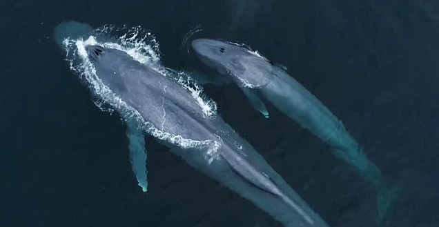 Illustration. (Photo source : Sohu.com)