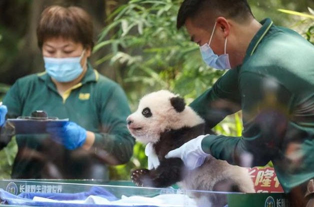 Photo source : chinadaily.com.cn