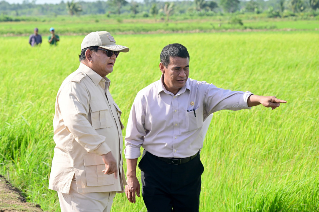 Photo : AFP/Presidential Secretariat