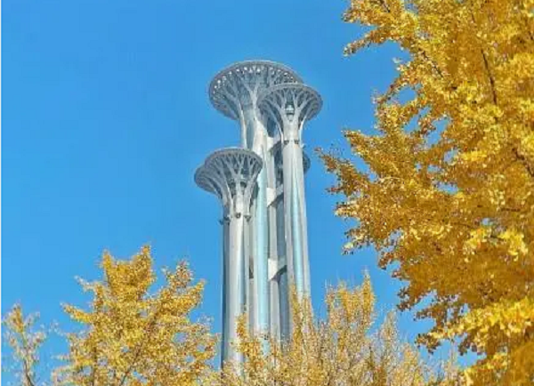 Photo source : Baidu Baijiahao/guangmingwang 