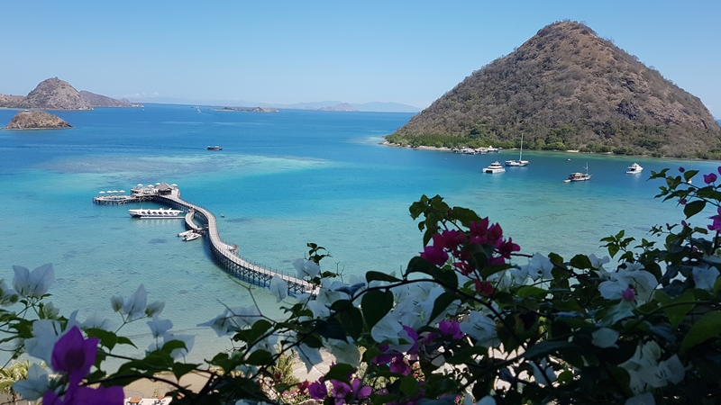 Labuan Bajo, Indonesia. (photo : medcom.id)