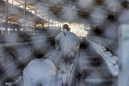 Illustration. (photo : AFP)