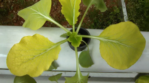 Photo source : sumberplastik.co.id