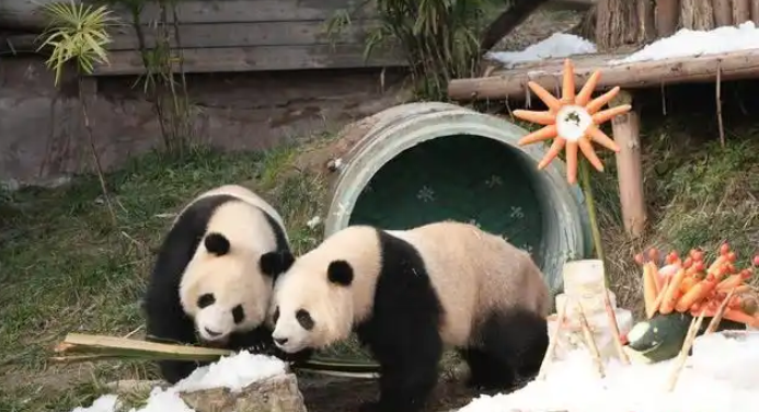 Photo source : chinanews.com