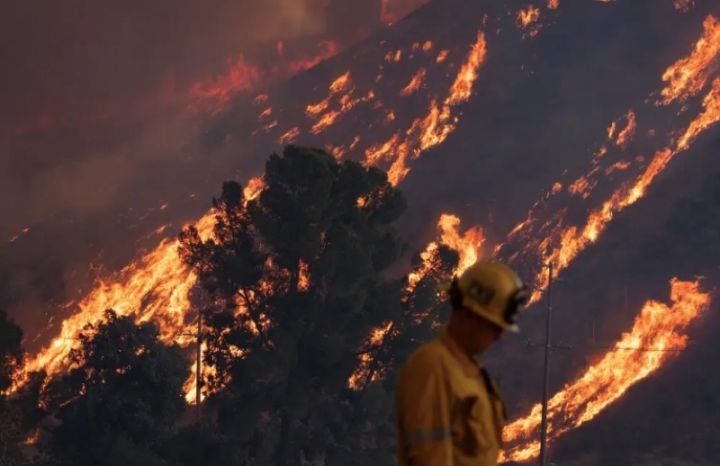 Photo: The New York Times.