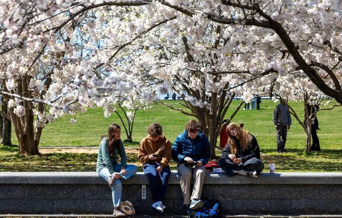 Cherry blossom in Washington, DC. (Photo : Xinhua) 