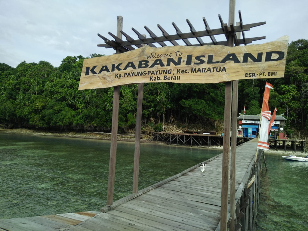 Kakaban Island, Maratu, East Kalimantan. Photo : Medcom.id