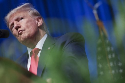 US President Donald Trump. (photo : AFP)