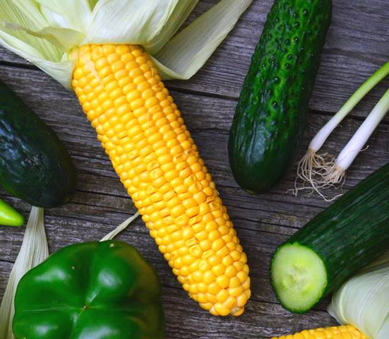 插图。资料图片：Pexels