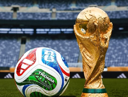 世界杯。资料图片：国际足联Ig