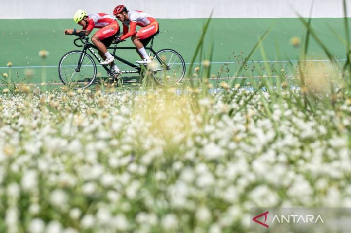 插图。图片：安塔拉通讯社