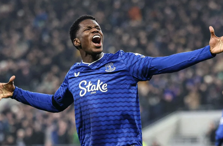 埃弗顿vs利兹联。图片：英超官网