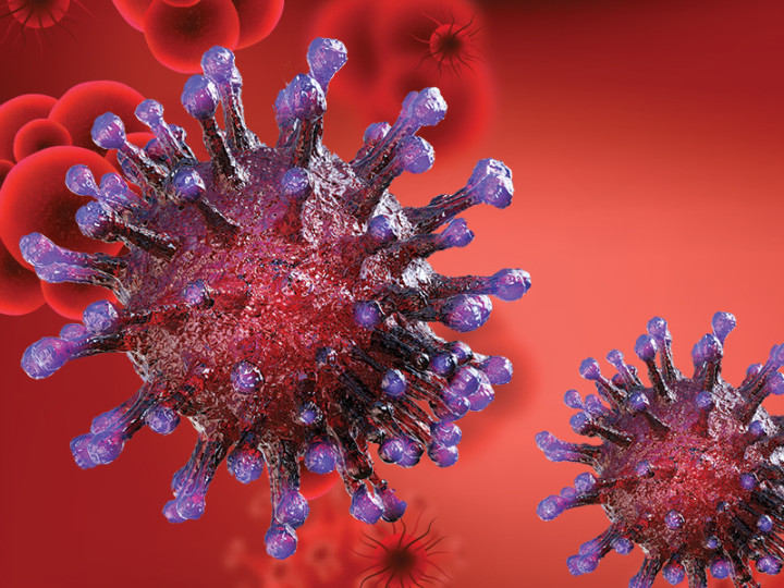 卫生部准备尼帕病毒防控措施 