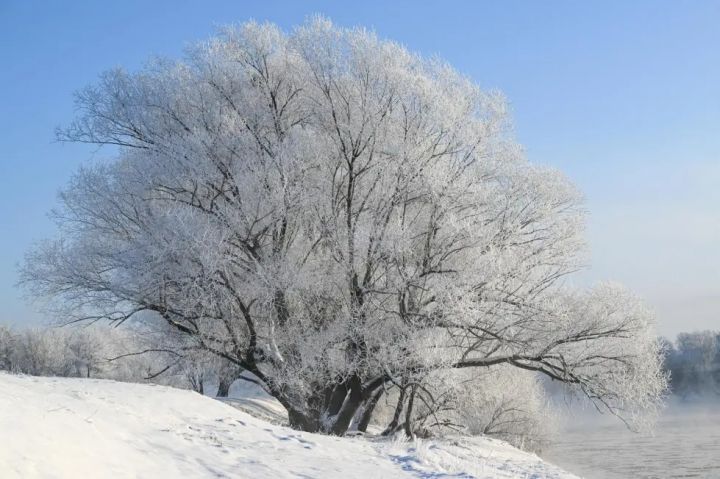 资料图片：EPA-EFE