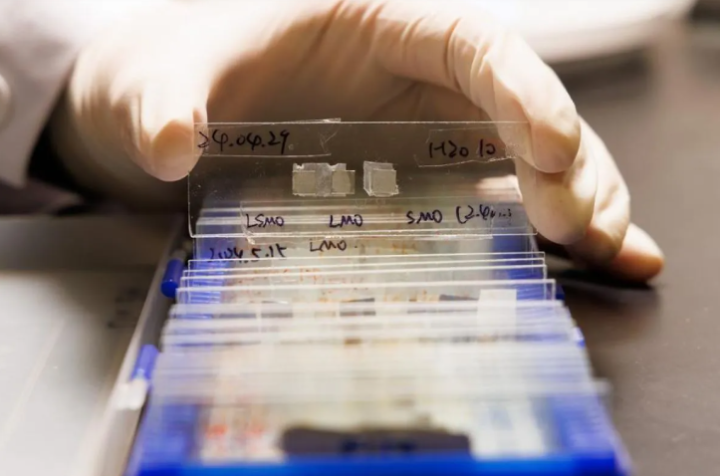 中国学术期刊全球影响力持续提升