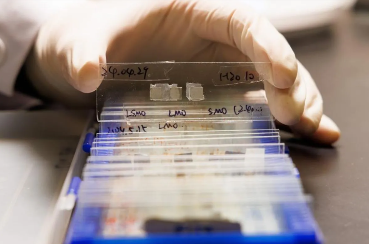 资料图片：安塔拉通讯社/新华社