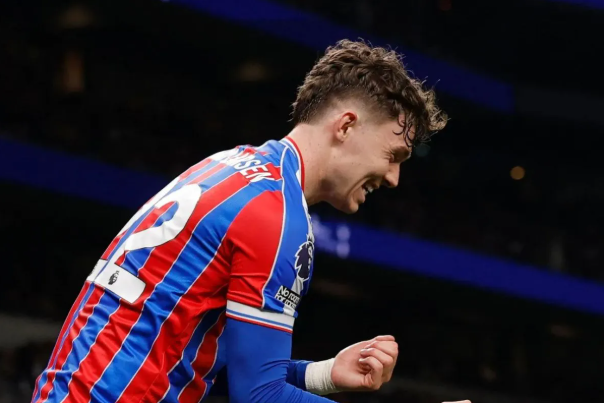 水晶宫前锋拉尔森。图片：英超官网