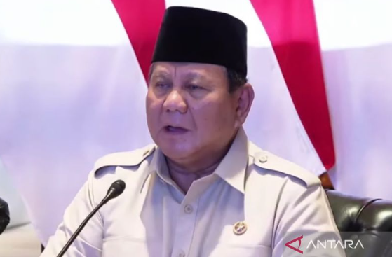 普拉博沃：国家通过桥梁建设深入乡村 