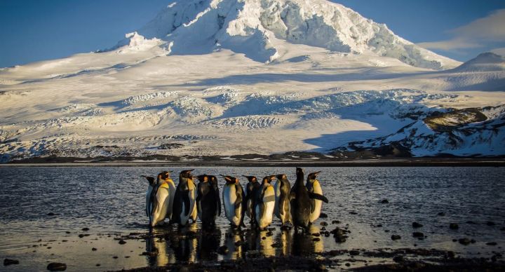 资料图片：马特·库诺克/澳大利亚南极局