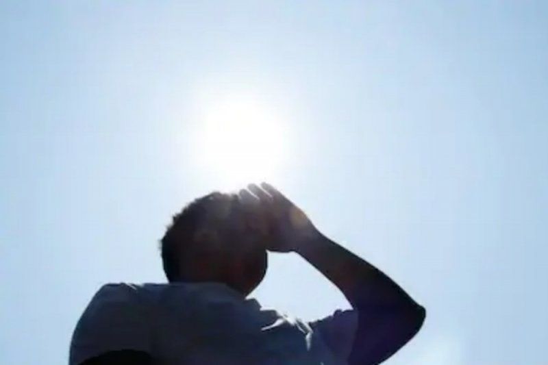 插图。资料图片：Shutterstock