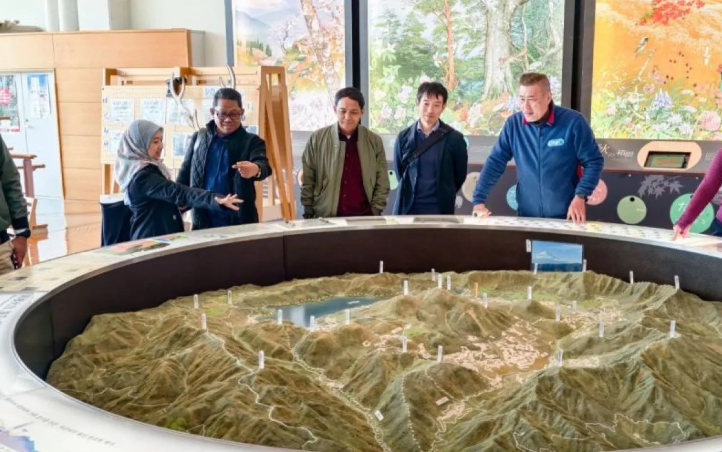 资料图片：印尼林业部