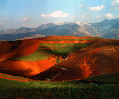 资料图片：百度百科