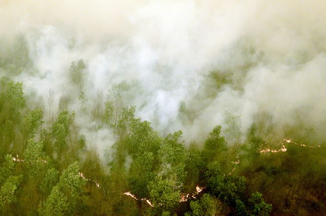 森林大火造成我国受不可估量损失  